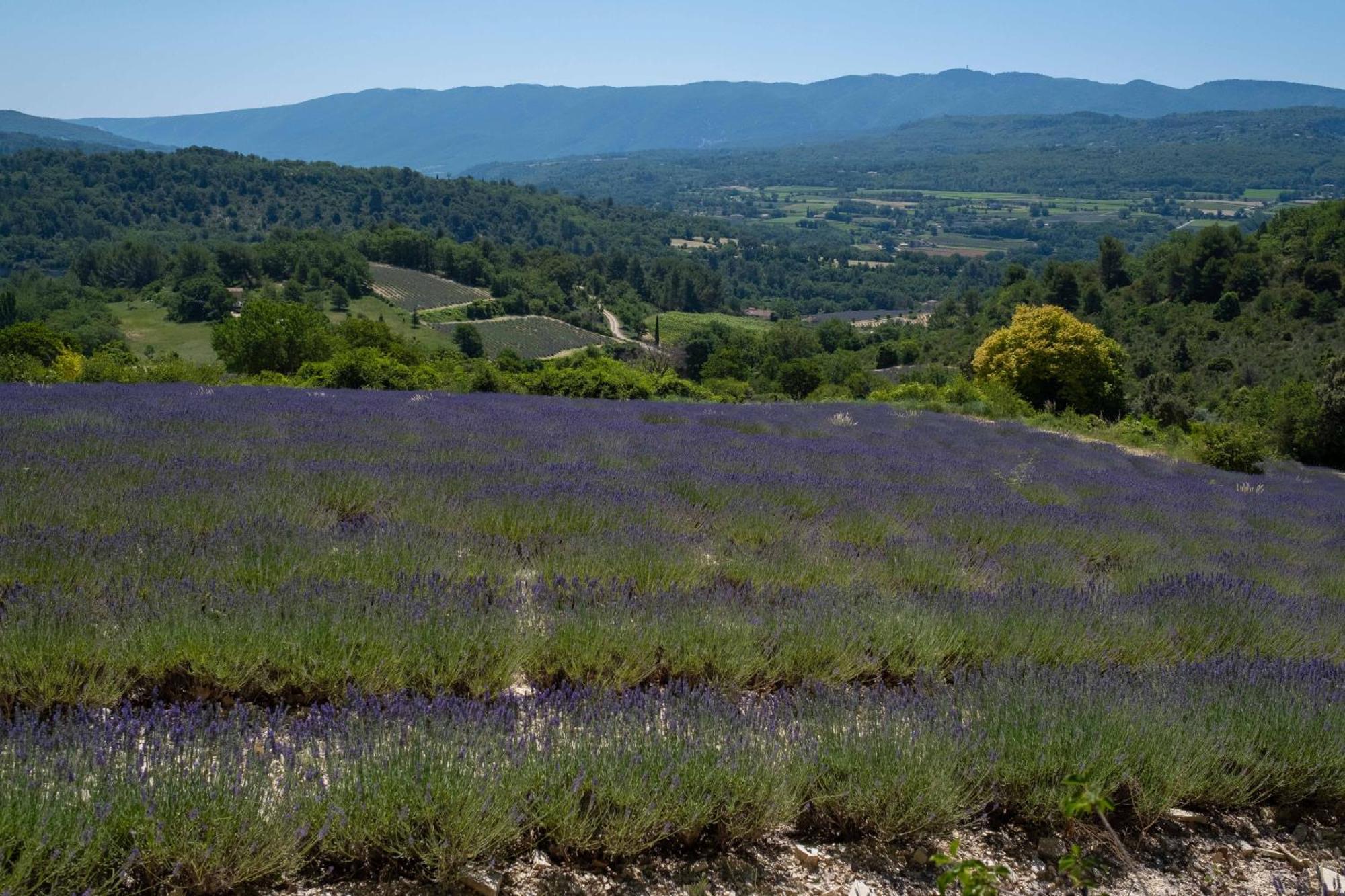 Maison De Campagne La Teranga Au Coeur Du Luberon Apt Ngoại thất bức ảnh